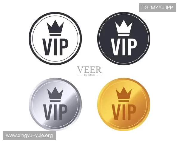 博狗官网VIP会员制度详解,享受专属福利与优先服务体验 博狗官网VIP会员制度详解,享受专属福利与优先服务体验