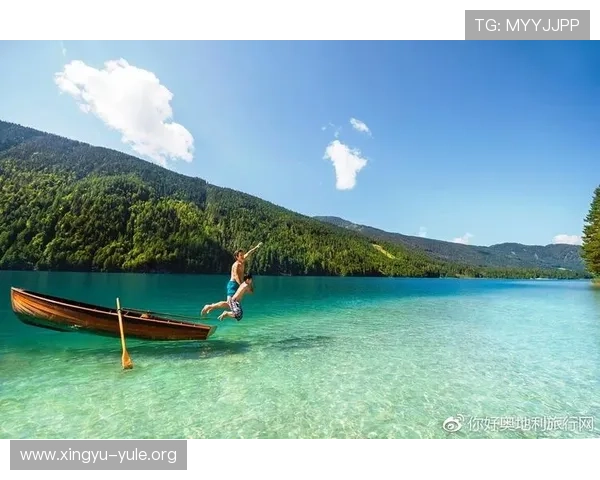 世界杯阿尔及利亚对奥地利比赛交通攻略全流程指南帮助球迷顺利抵达赛场 世界杯阿尔及利亚对奥地利比赛交通攻略全流程指南帮助球迷顺利抵达赛场